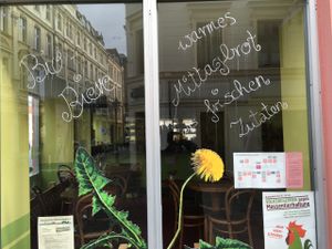 Logo plant (the Löwenzahn flower) in the window at Lowenzahn in Cottbus