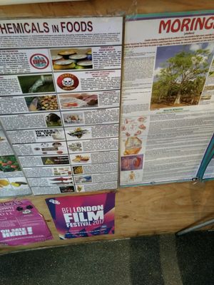 hey at Oracles Organic in South West London