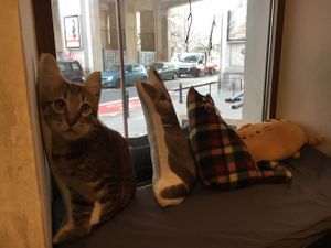 cat cushions  at Kawka z Kotem in Warsaw