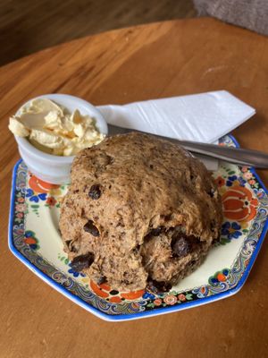 Vegan date scone   at Potpourri Vegetarian Cafe in Dunedin