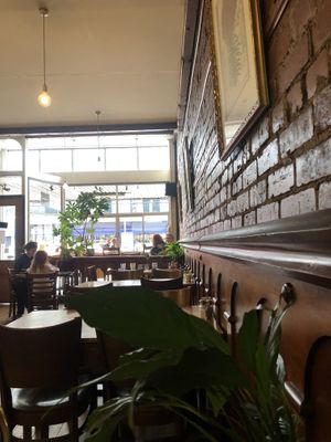   at Potpourri Vegetarian Cafe in Dunedin