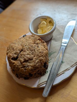 Date Scone at Potpourri Vegetarian Cafe in Dunedin