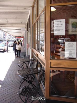 best date scones at Potpourri Vegetarian Cafe in Dunedin