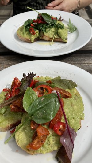 Avo on toast at Espresso Library in Cambridge