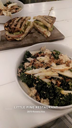Kale salad and Apple Sandwich at Little Pine in Los Angeles