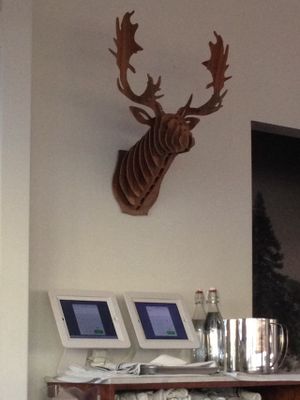 Little Pine vegan mounted buck head :-) at Little Pine in Los Angeles