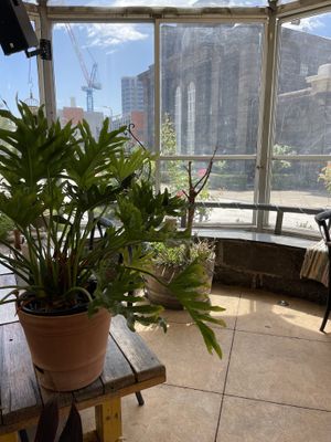   at The Glass Den in Coburg