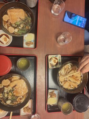 Syojinudon with Tofu and with wild vegetable at Rokumeien in Nara