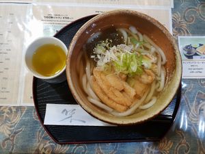 Udon with crispy tofu was amazing at Rokumeien in Nara