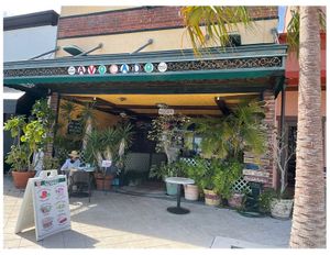  at Dancing Avocado in Daytona Beach