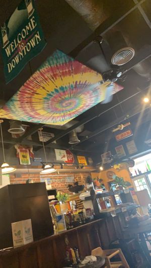 Aesthetic.  at Dancing Avocado in Daytona Beach