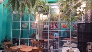 charming little courtyard at Narciso Vegano in Mexico City