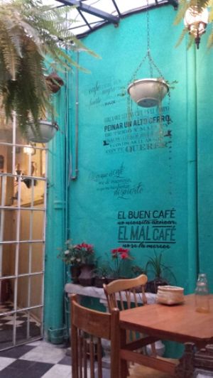 charming little courtyard  at Narciso Vegano in Mexico City