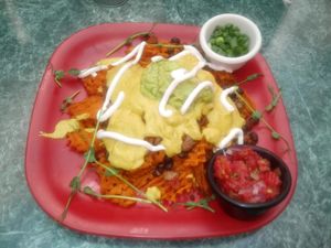 Cheese fries topped with cheese, beans, pico di gallo, guacamole, sour cream, and chives at Go Vegan Cafe in Las Vegas