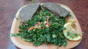 Raw Portobello Burger with kale salad at Go Vegan Cafe in Las Vegas