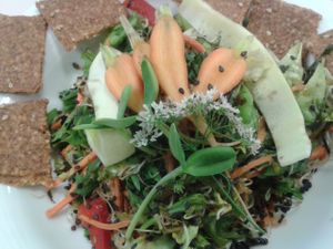 daily salad bowl  at Kulonjarat Raw & Vegan Bistro in Eger
