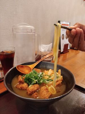 Vegetarian curry udon with soy nuggets and tempura at Mimikou in Kyoto