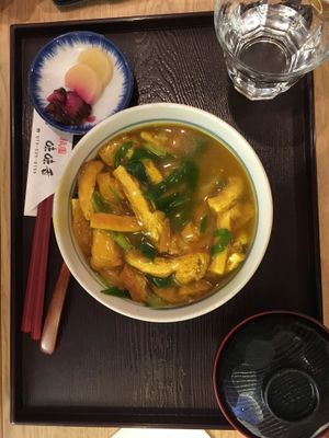 Tofu Donburi at Mimikou in Kyoto