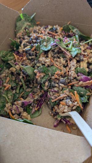 Thai cashew bowl, huge serving at Naked Lunch in Herndon