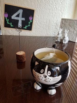 Hot tea in a cat mug!!! 💚 at Clovermint Cafe and Market in Dania Beach