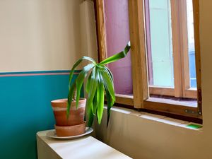 inside at Vegs in Halle