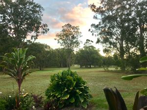 The north facing aspect from the  hammocks.  3 acres of native, ornamental and vegetable gardens with sweeping lawn space adjoining 80 acres of bushland.  Tranquility indeed at The Beet Retreat in Cooroibah