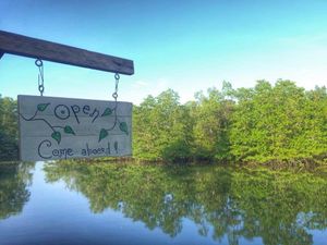 amazing river location to kick back and indulge in an amazing variety of plant based delights. Breakfasts/Brunch/ Evening Meals/ Fresh Fruit Smoothies. Heaven. at Pachamama in Sihanoukville