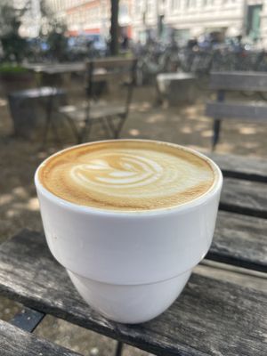   at Kaf in Copenhagen