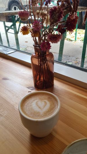  at Kaf in Copenhagen