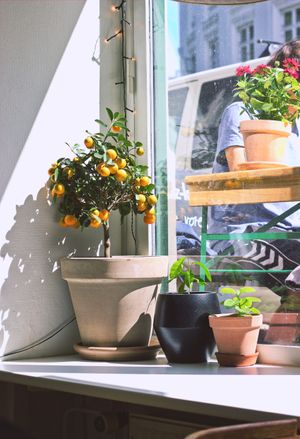 Corner of the café. at Kaf in Copenhagen