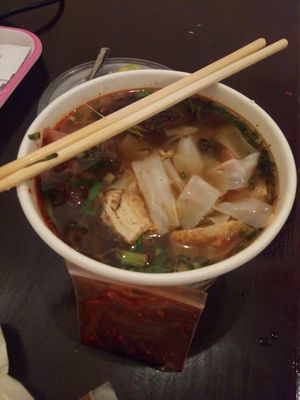 my take away noodle soup from hsin hao  at Shin House Vegetarian in Phnom Penh