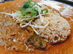 Curry of the day at Lentil As Anything - Thornbury in Thornbury