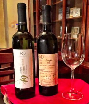 Good wine, good vegetarian and vegan food at Blatouch in Prague