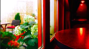 Rear garden, shade, comfort and smoking on request :). Otherwise they do not smoke there. at Blatouch in Prague