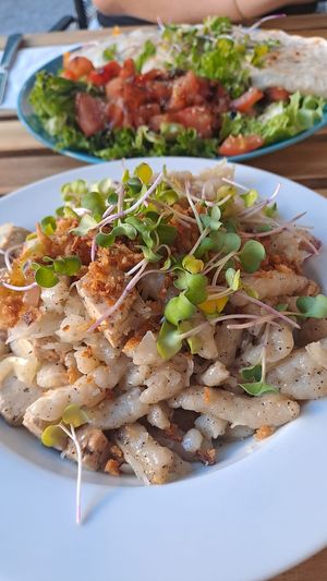   at Blatouch in Prague