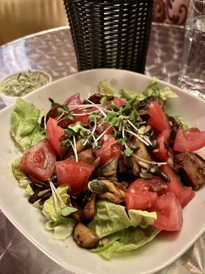   at Blatouch in Prague