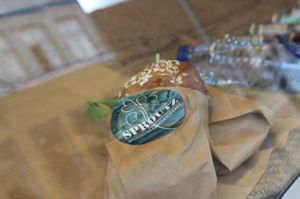 great sandwiches at Sproutz in Koge