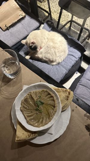   at Baba Ghanoush Falafel Shop in Athens