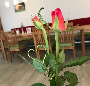 inside at Liebe Vegan in Ingolstadt