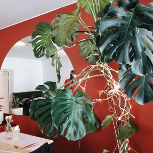 Interior at Vegan Day in Kazan