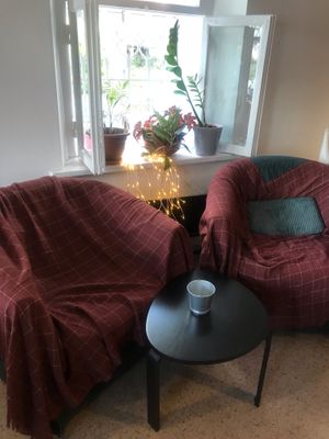 Cozy chairs  at Vegan Day in Kazan