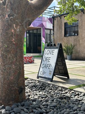   at Love Life Cafe in Miami