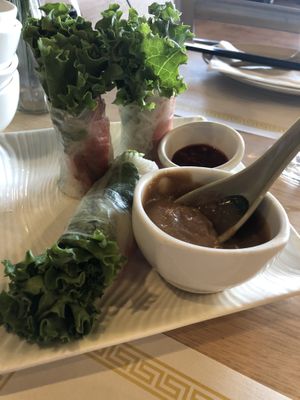 Spring rolls with peanut sauce at Mint & Basil in Milpitas