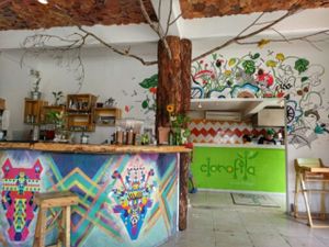 inside at Clorofila in Playa Del Carmen