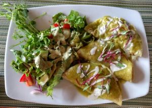 enchiladas verdes at Clorofila in Playa Del Carmen
