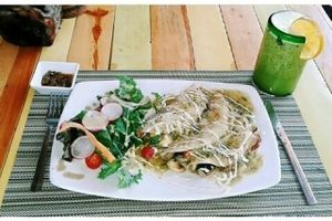 vegan enchiladas at Clorofila in Playa Del Carmen