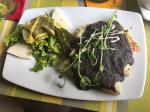 Enfrijoladas at Clorofila in Playa Del Carmen