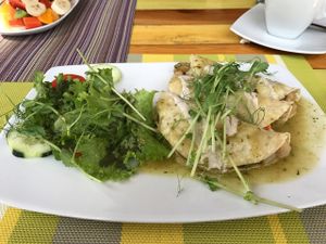 Enchiladas at Clorofila in Playa Del Carmen