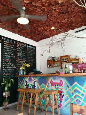 place at Clorofila in Playa Del Carmen