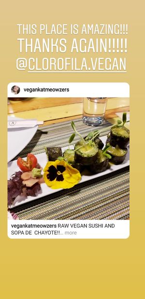 Raw Vegan Sushi Roll
CLOROFILA ROLL at Clorofila in Playa Del Carmen
